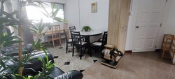 Balestier Plaza (D12), Apartment #501123901